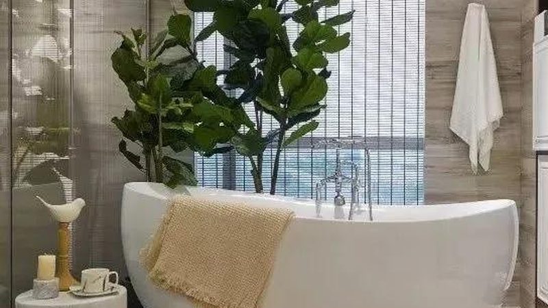卫浴洁具尺寸表：揭秘选购中的尺寸密码